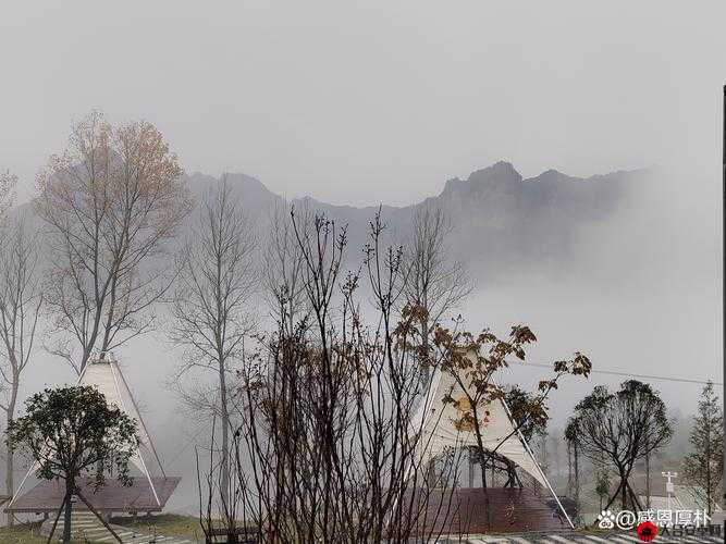 探索奇幻之旅，深入揭秘境界系统在蛇年春节的无限魅力与奥秘